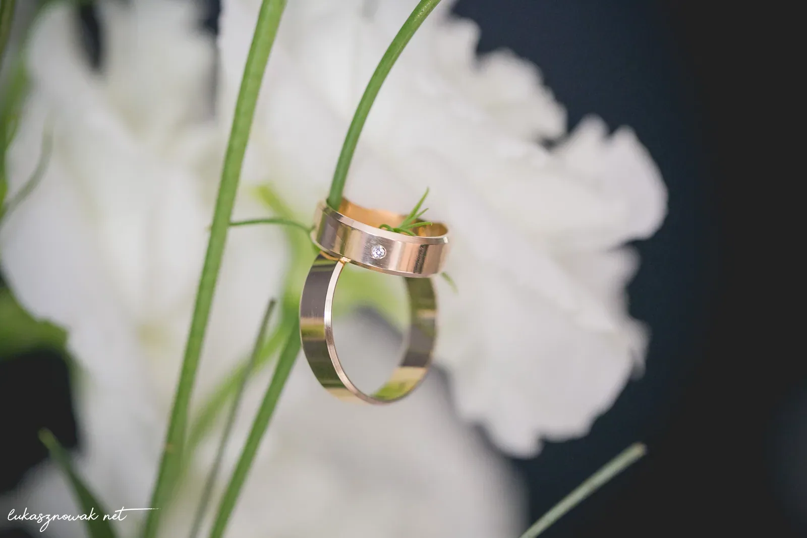 Aleksandra i Jakub — zdjęcie 12